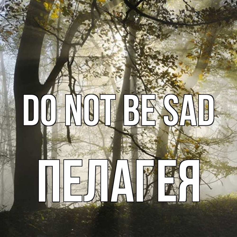 Greetings card с именем, Пелагея Do not be sad лес и свет Greetings with text for free download 