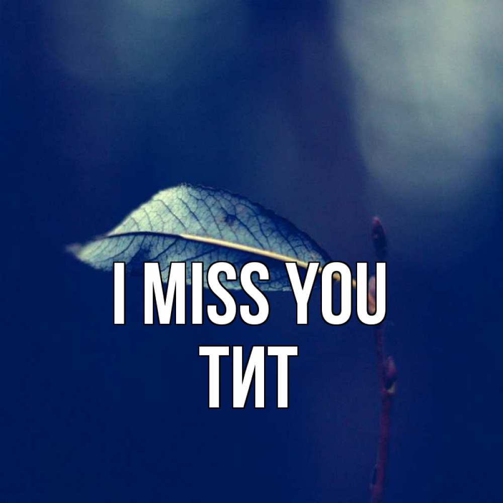 Greetings card с именем, Тит I miss you одна ветка 1 Greetings with text for free download 