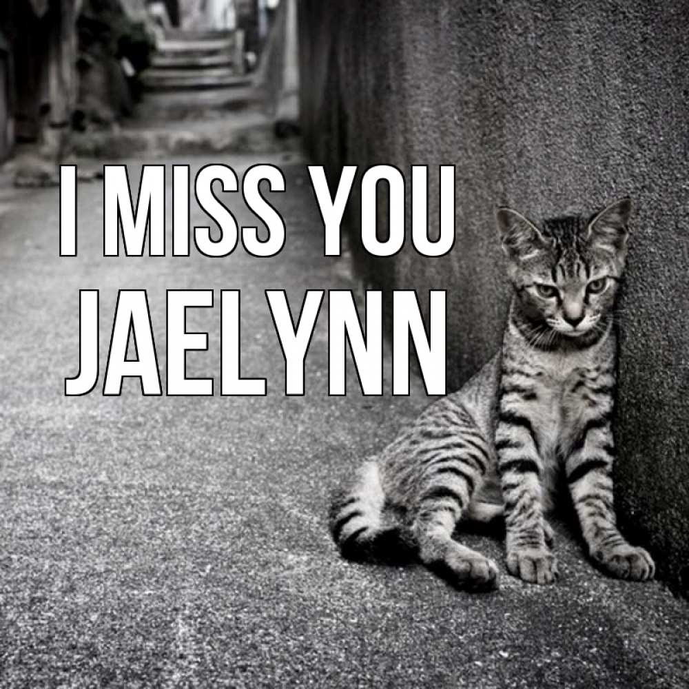 Greetings card с именем, Jaelynn I miss you одиноко котику Greetings with text for free download 