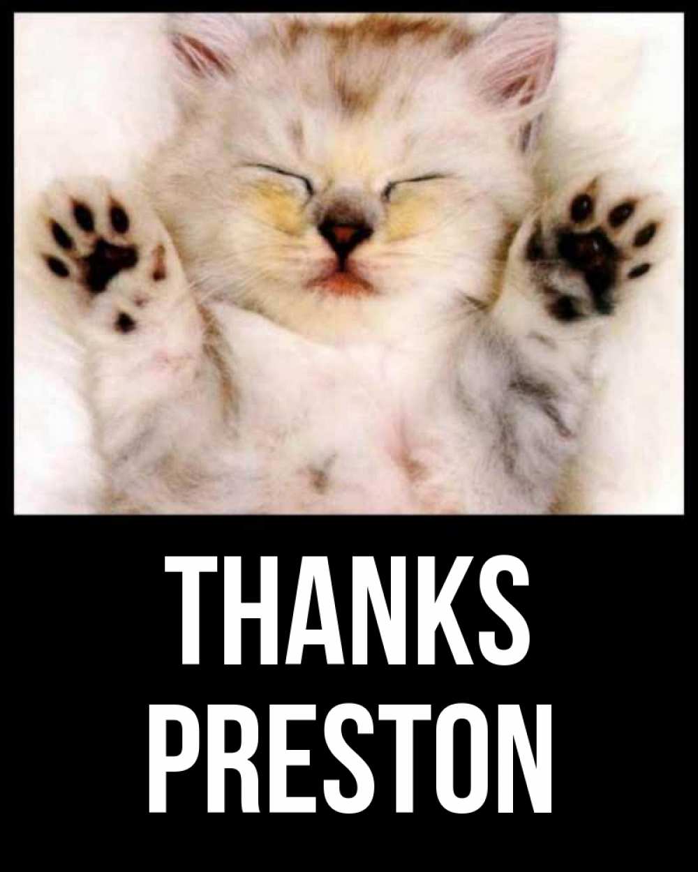 Greetings card с именем, Preston Thanks маленький котенок Greetings with text for free download 