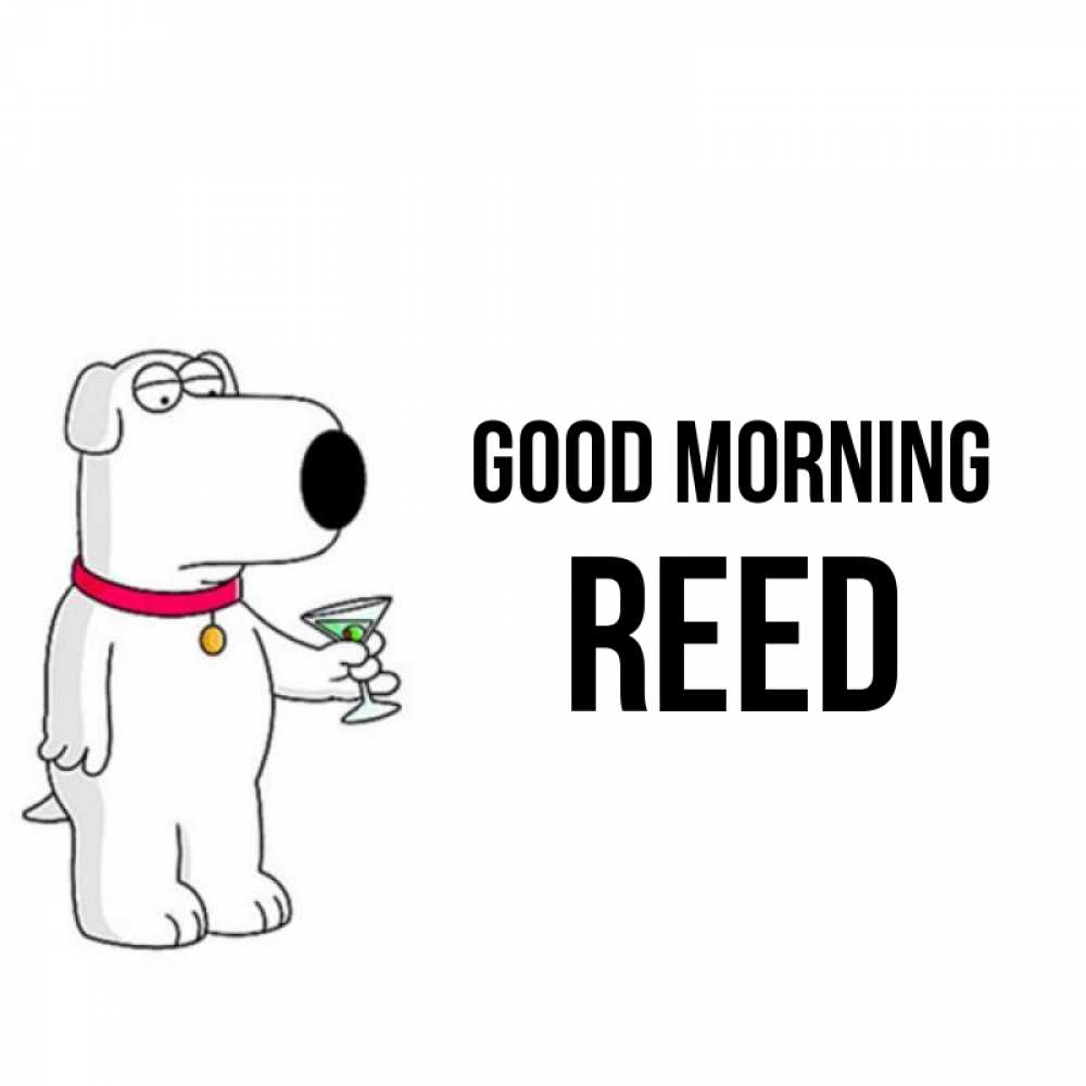 Greetings card с именем, Reed Good morning герои мультфильмов белый пес Greetings with text for free download 