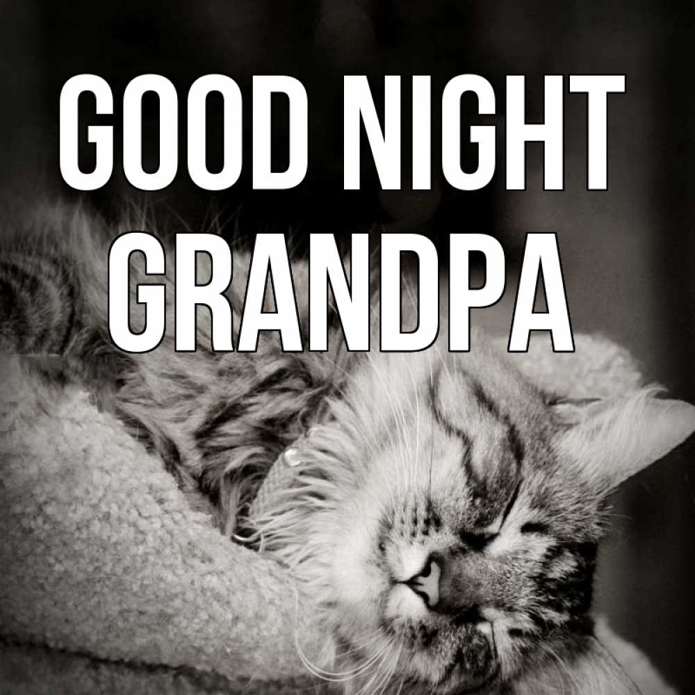 Greetings card с именем, grandpa Good night котярик пушистый Greetings with text for free download 
