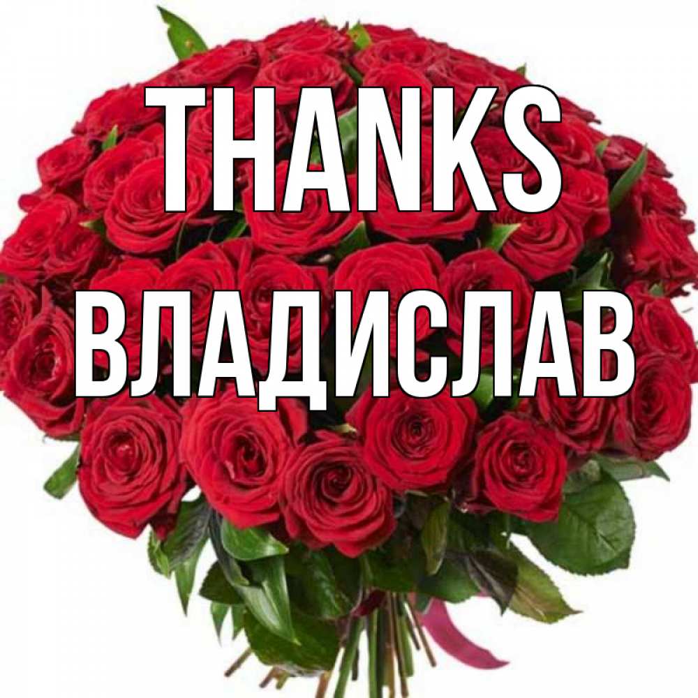 Greetings card с именем, Владислав Thanks букет красных роз Greetings with text for free download 