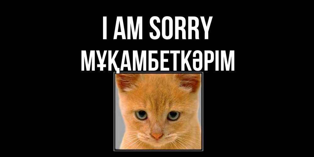 Greetings card с именем, Мұқамбеткәрім I am sorry рыжий грустный кот просит прощения Greetings with text for free download 