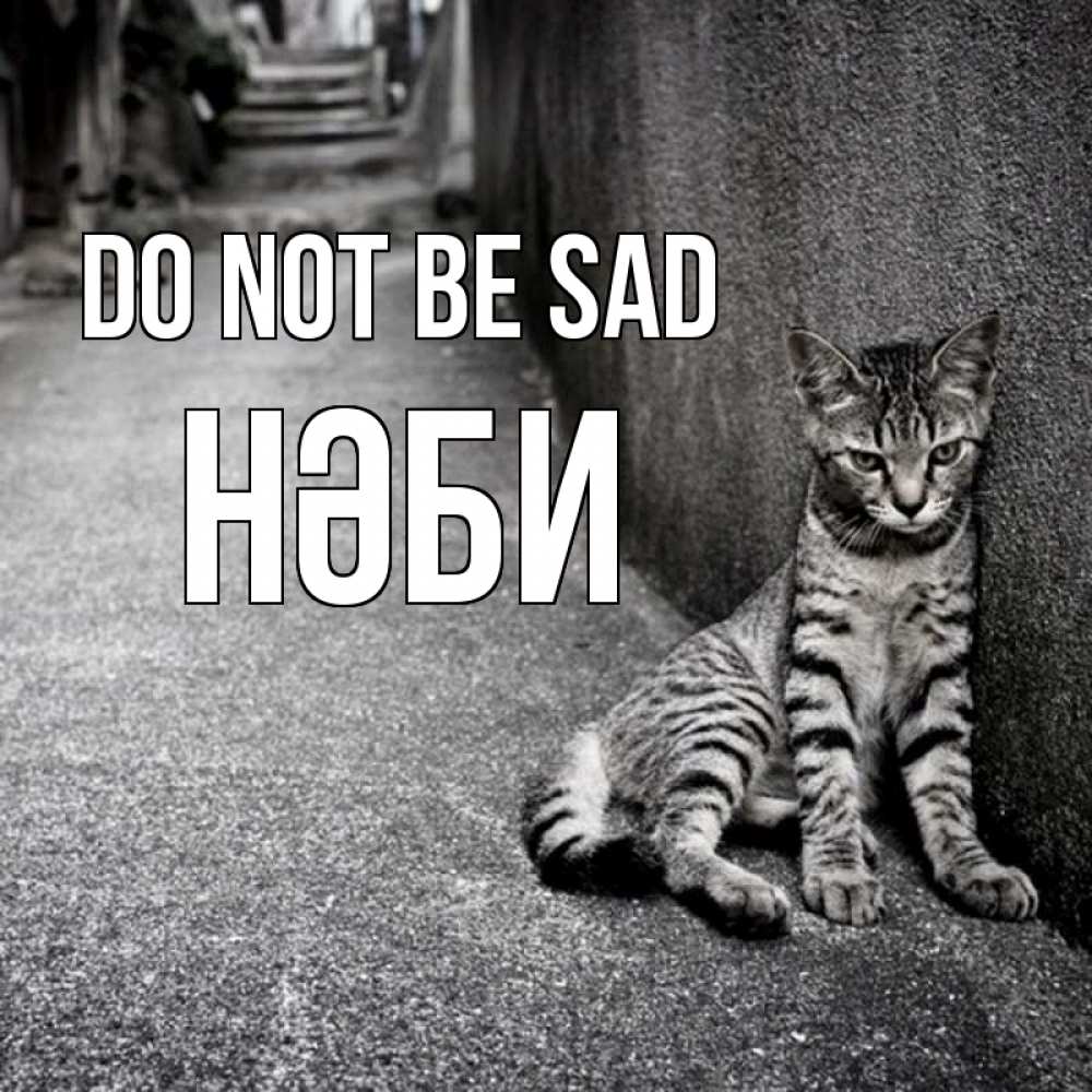 Greetings card с именем, НӘБИ Do not be sad скучающий котик Greetings with text for free download 