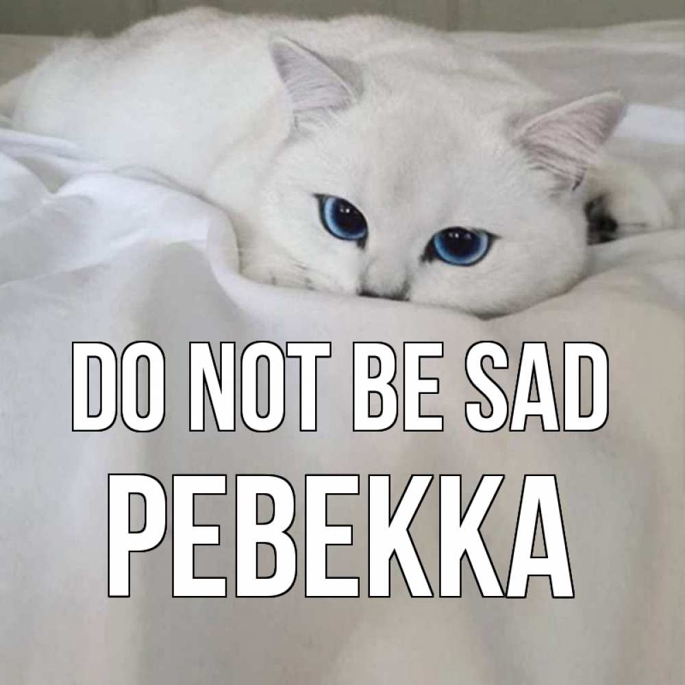Greetings card с именем, Ревекка Do not be sad белый кот с голубыми глазами на белоснежной кровати Greetings with text for free download 