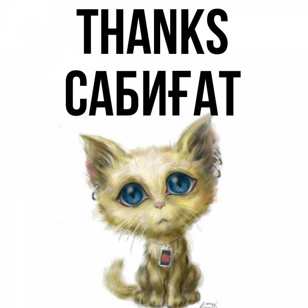 Greetings card с именем, САБИҒАТ Thanks рисованный кот благодарит вас Greetings with text for free download 