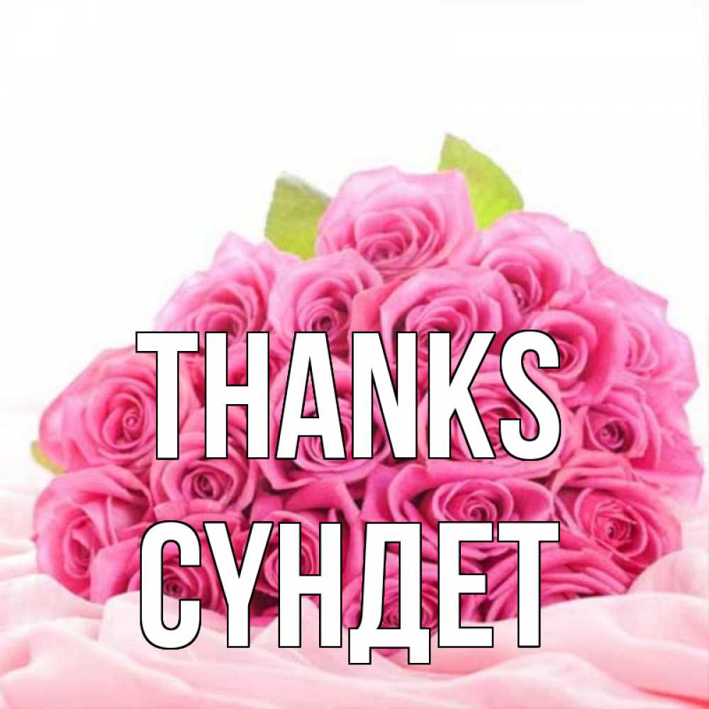 Greetings card с именем, СҮНДЕТ Thanks розовые розы с подписью Greetings with text for free download 