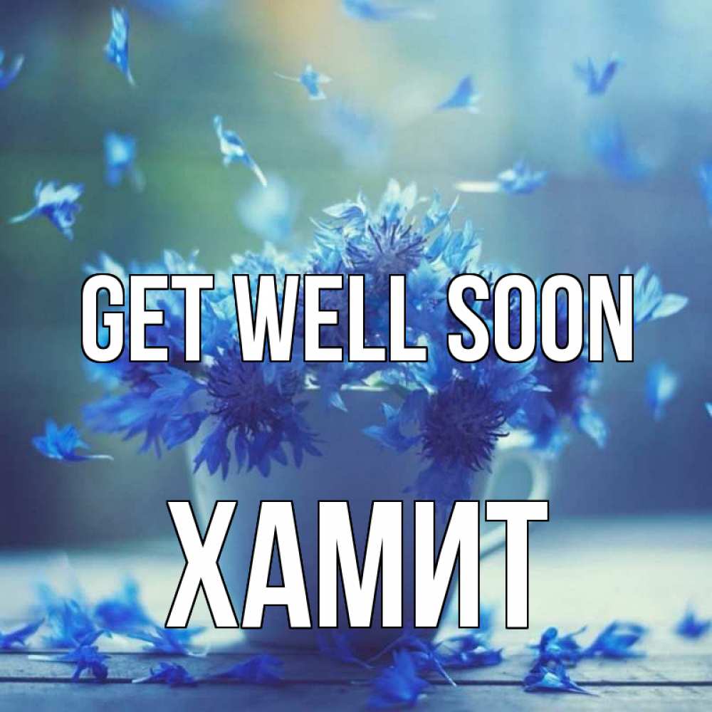 Greetings card с именем, ХАМИТ Get well soon кружка с зельем и цветами Greetings with text for free download 