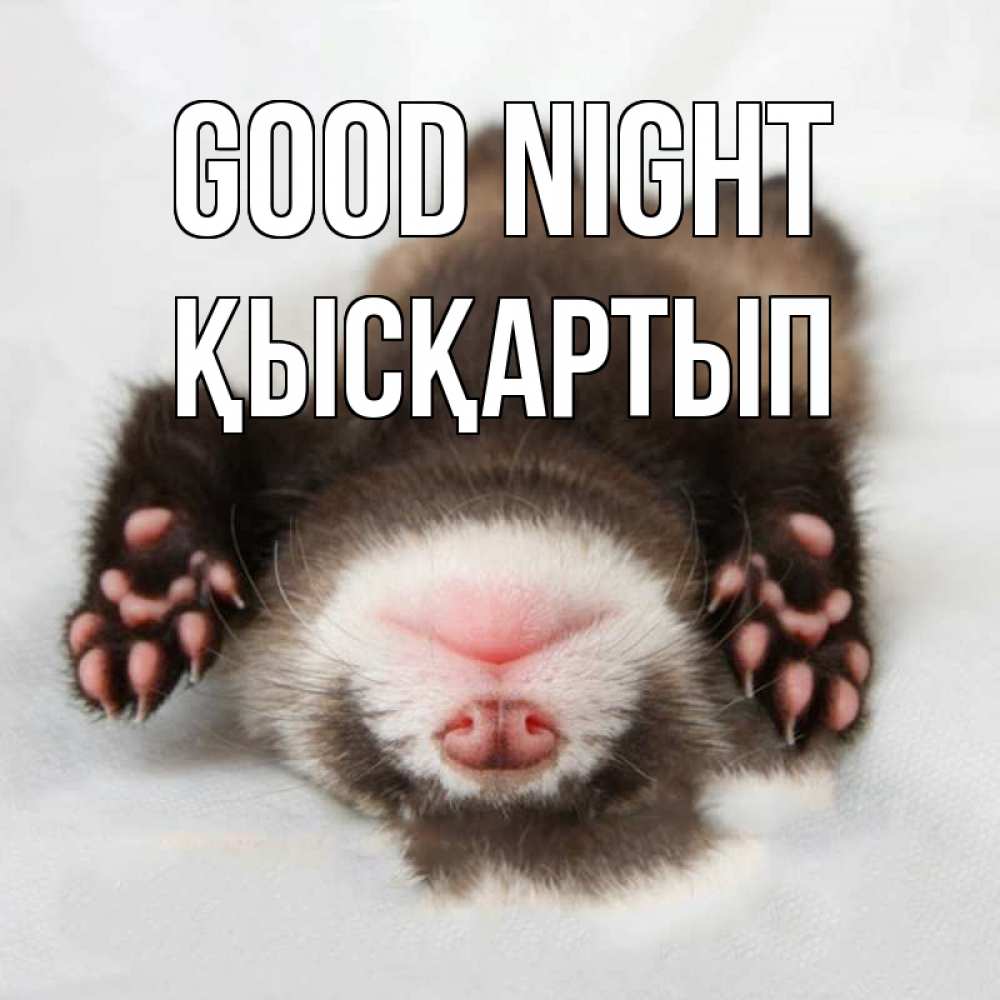 Greetings card с именем, Қысқартып Good night зверек Greetings with text for free download 