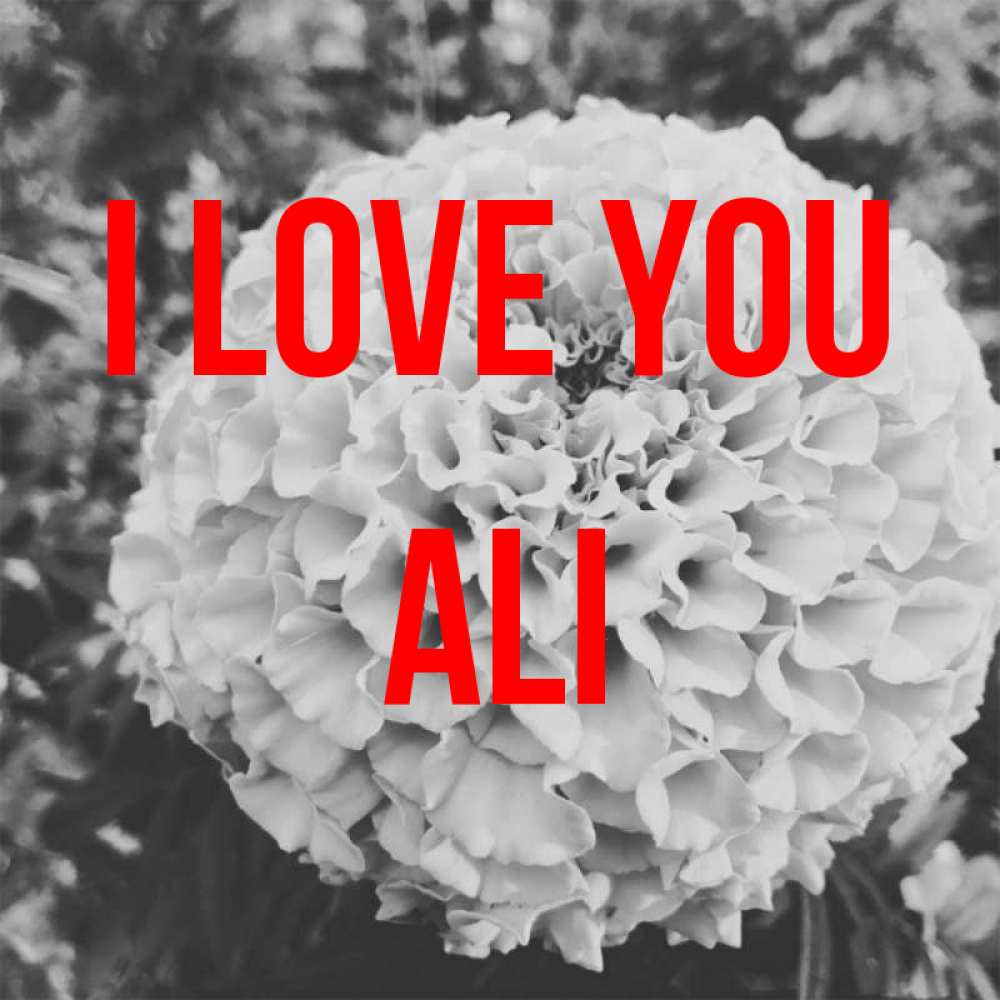 Greetings card с именем, Ali I love you подпись Greetings with text for free download 