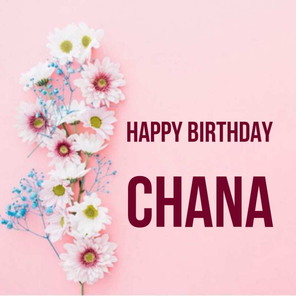 Greetings card с именем, Chana Happy Birthday Родная моя с днем рождения тебя картинка с цветами белыми и голубыми Greetings with text for free download 