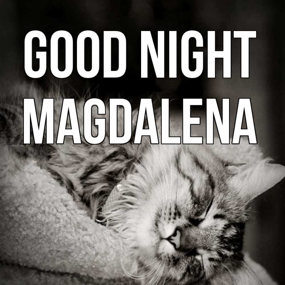 Greetings card с именем, Magdalena Good night котярик пушистый Greetings with text for free download 