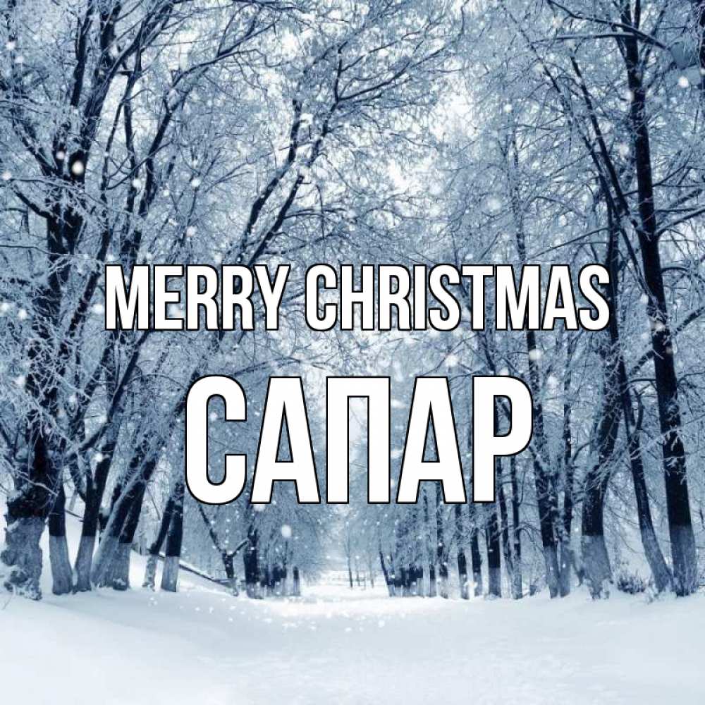 Greetings card с именем, САПАР Merry Christmas снег, лес, парк Greetings with text for free download 