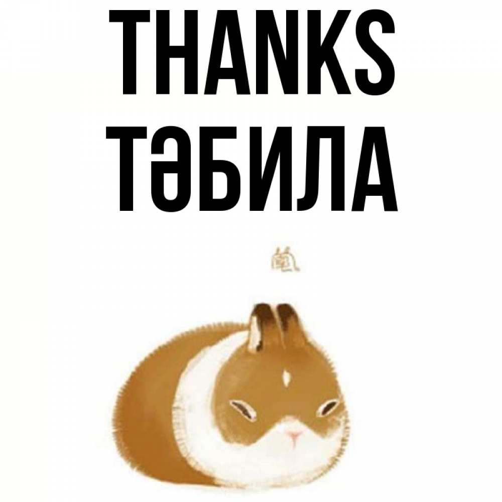 Greetings card с именем, ТӘБИЛА Thanks коричнево белый домашний питомец Greetings with text for free download 