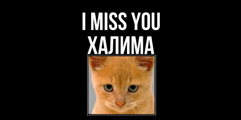 Greetings card с именем, ХАЛИМА I miss you открытки рыжий котенок скучает по тебе Greetings with text for free download 
