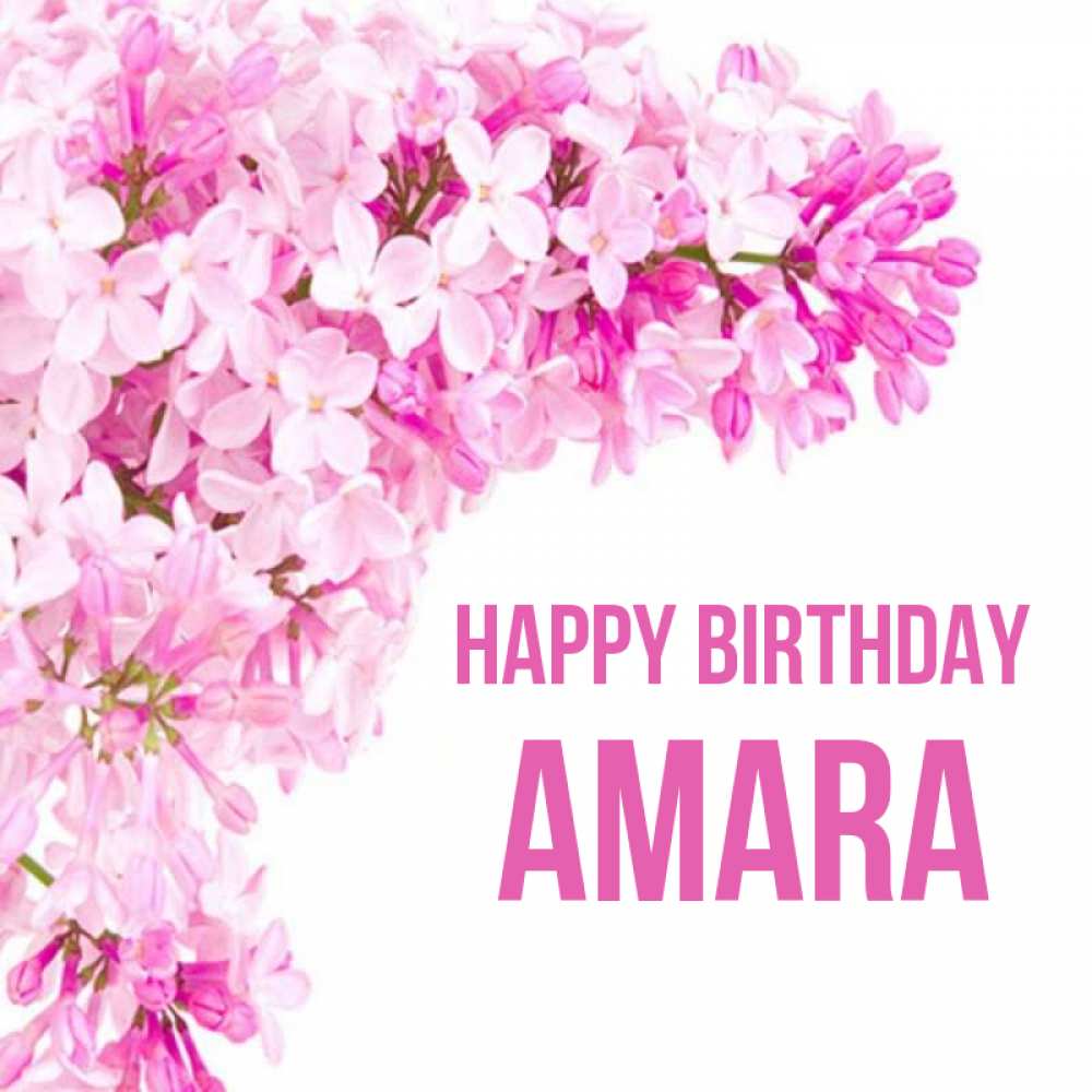 Greetings card с именем, Amara Happy Birthday Сирень на белом фоне Greetings with text for free download 