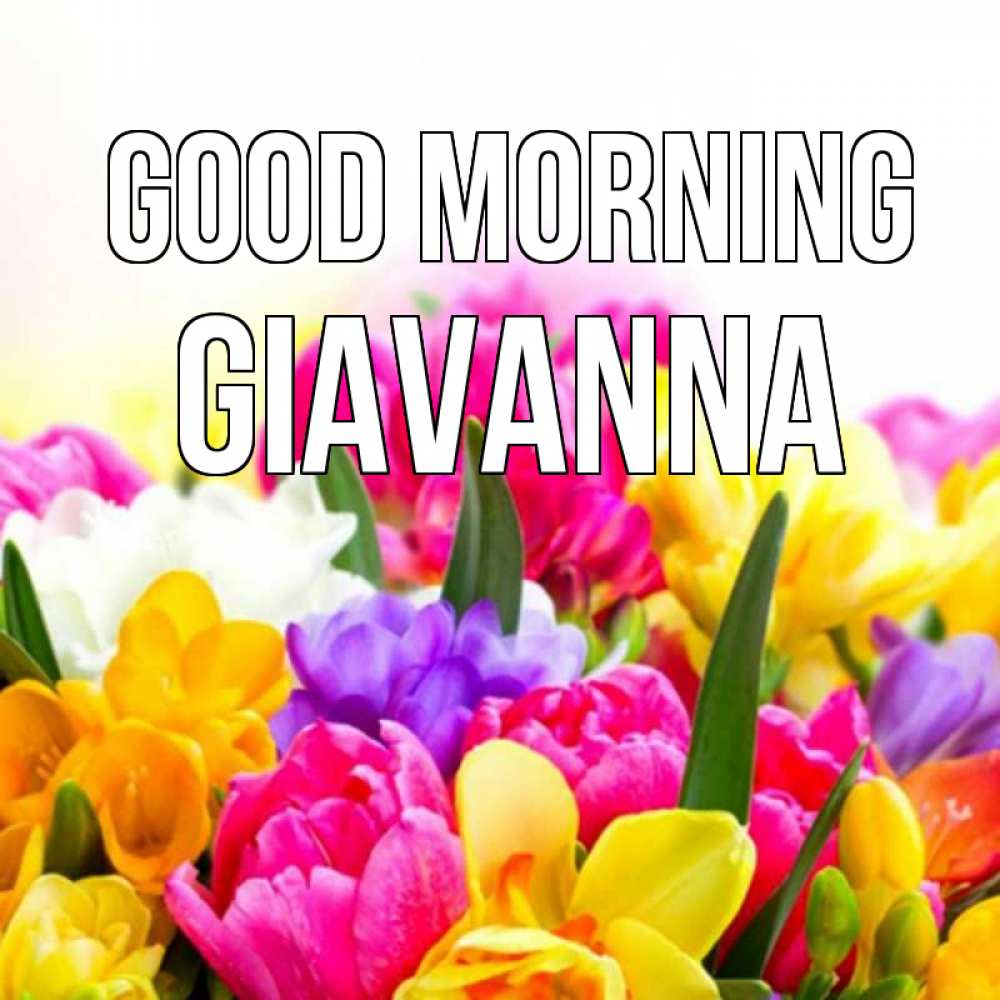 Greetings card с именем, Giavanna Good morning создать открытку со свое подписью Greetings with text for free download 