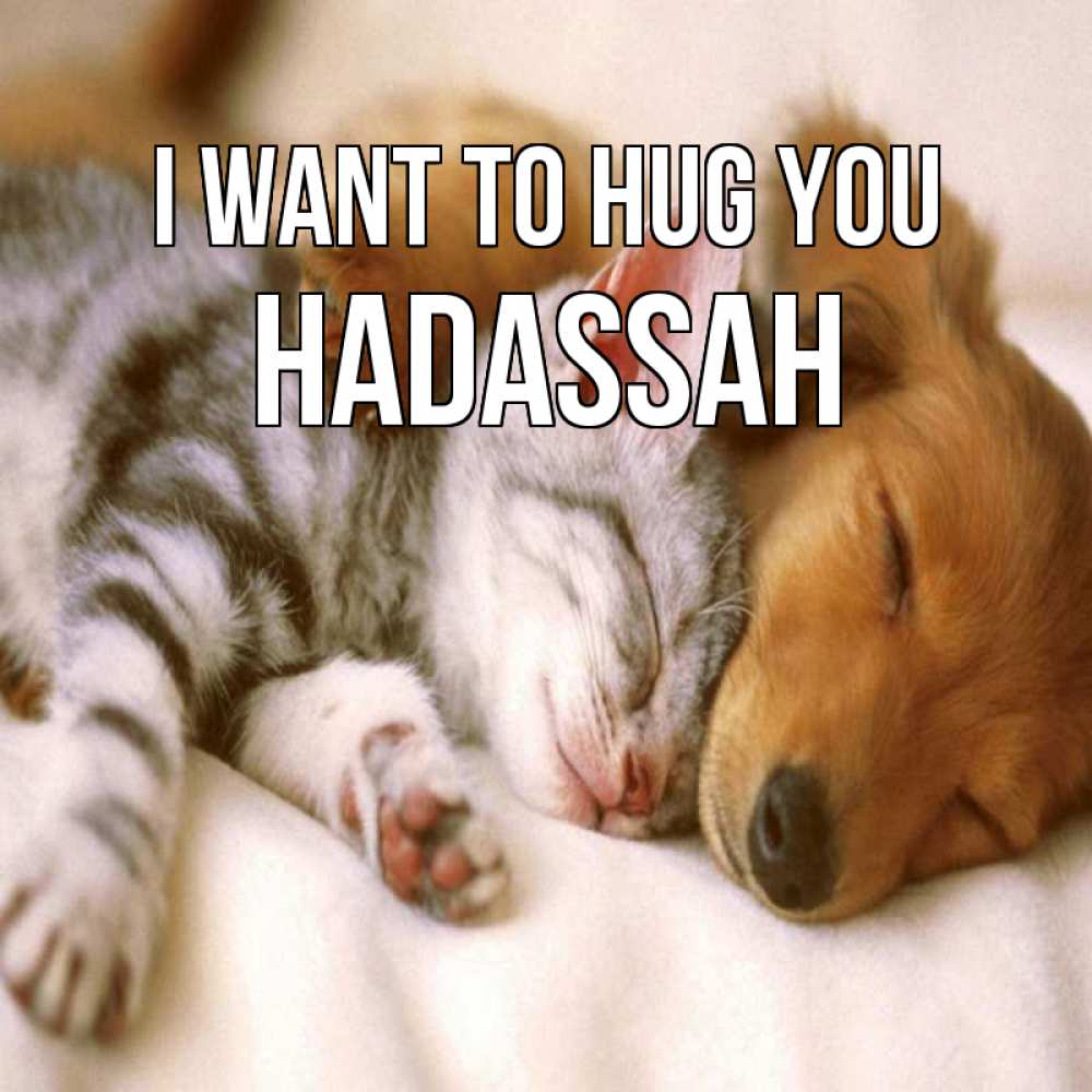 Greetings card с именем, Hadassah I want to hug you пес и котенок Greetings with text for free download 
