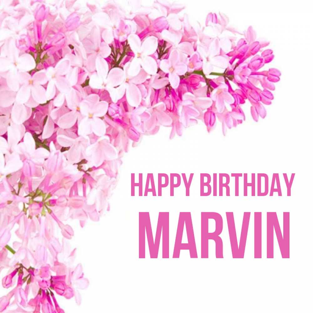 Greetings card с именем, Marvin Happy Birthday Сирень на белом фоне Greetings with text for free download 