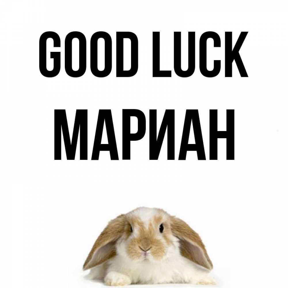 Greetings card с именем, Мариан Good luck открытки с произвольным текстом который можно вставить в открытку и создать ее самостоятельно бесплатно онлайн Greetings with text for free download 