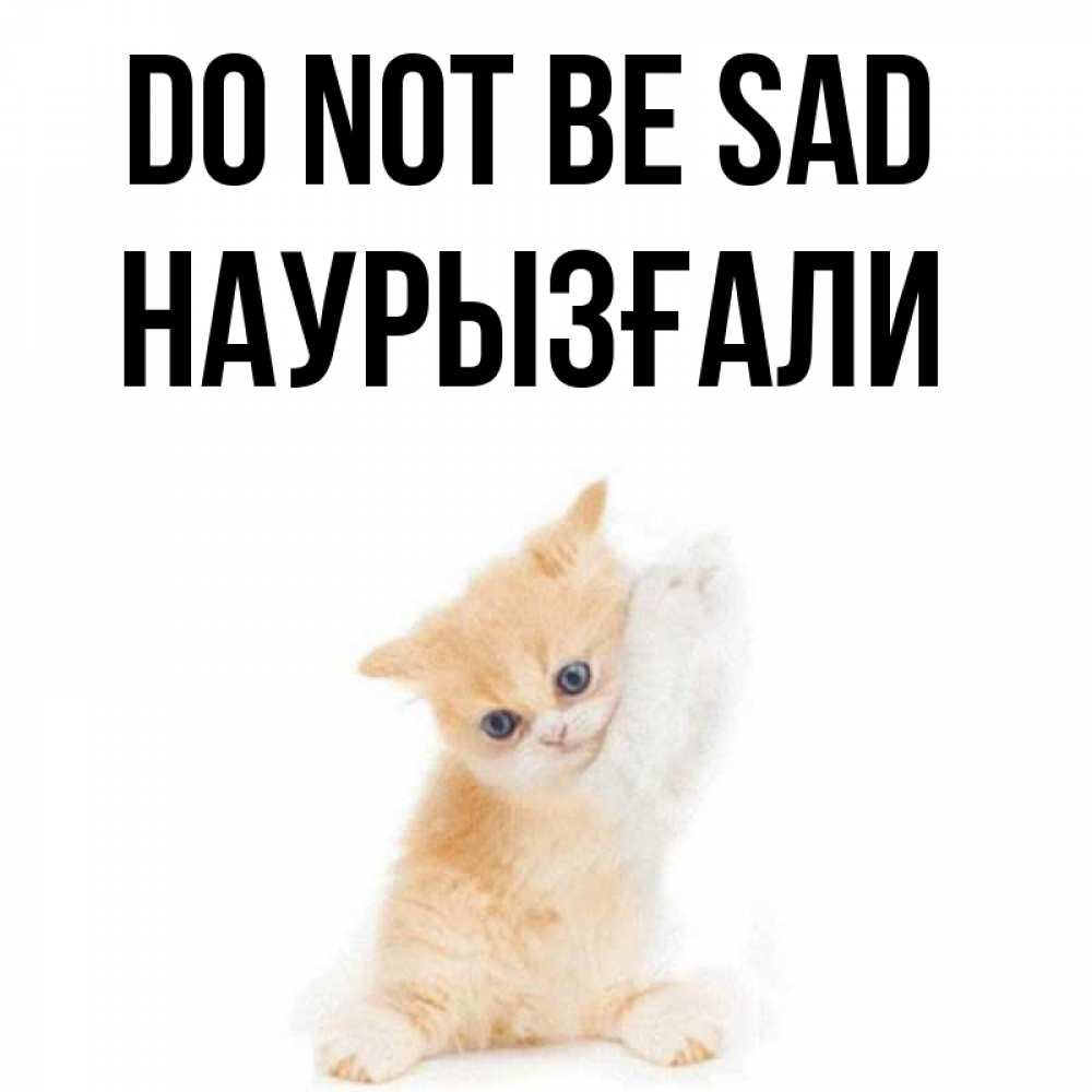 Greetings card с именем, Наурызғали Do not be sad просящий кот Greetings with text for free download 