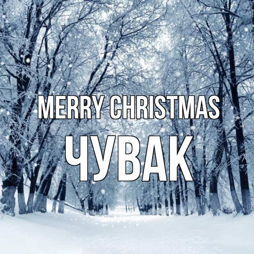 Greetings card с именем, Чувак Merry Christmas снег, лес, парк Greetings with text for free download 