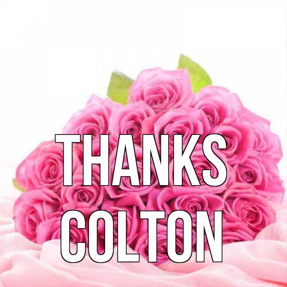 Greetings card с именем, Colton Thanks розовые розы с подписью Greetings with text for free download 