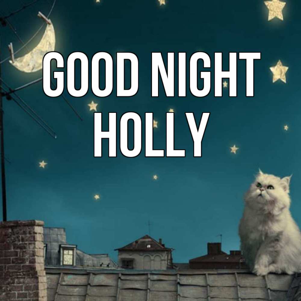 Greetings card с именем, Holly Good night белый кот сидит на крыше Greetings with text for free download 