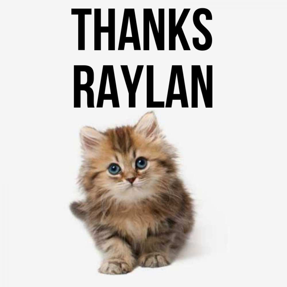 Greetings card с именем, Raylan Thanks пушистый котик Greetings with text for free download 