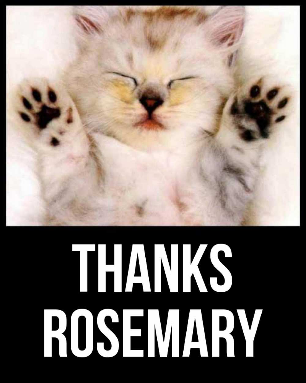 Greetings card с именем, Rosemary Thanks маленький котенок Greetings with text for free download 