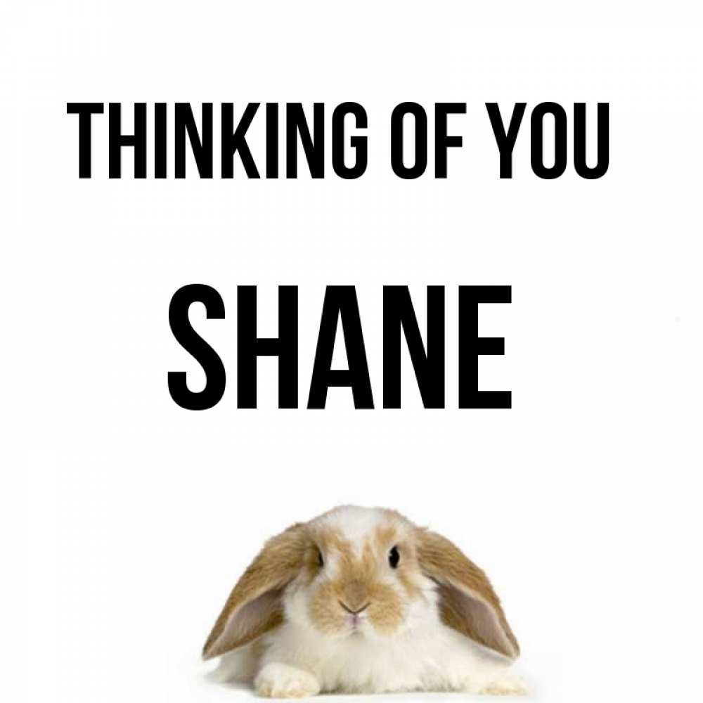 Greetings card с именем, Shane Thinking of you подписать своими руками онлайн Greetings with text for free download 