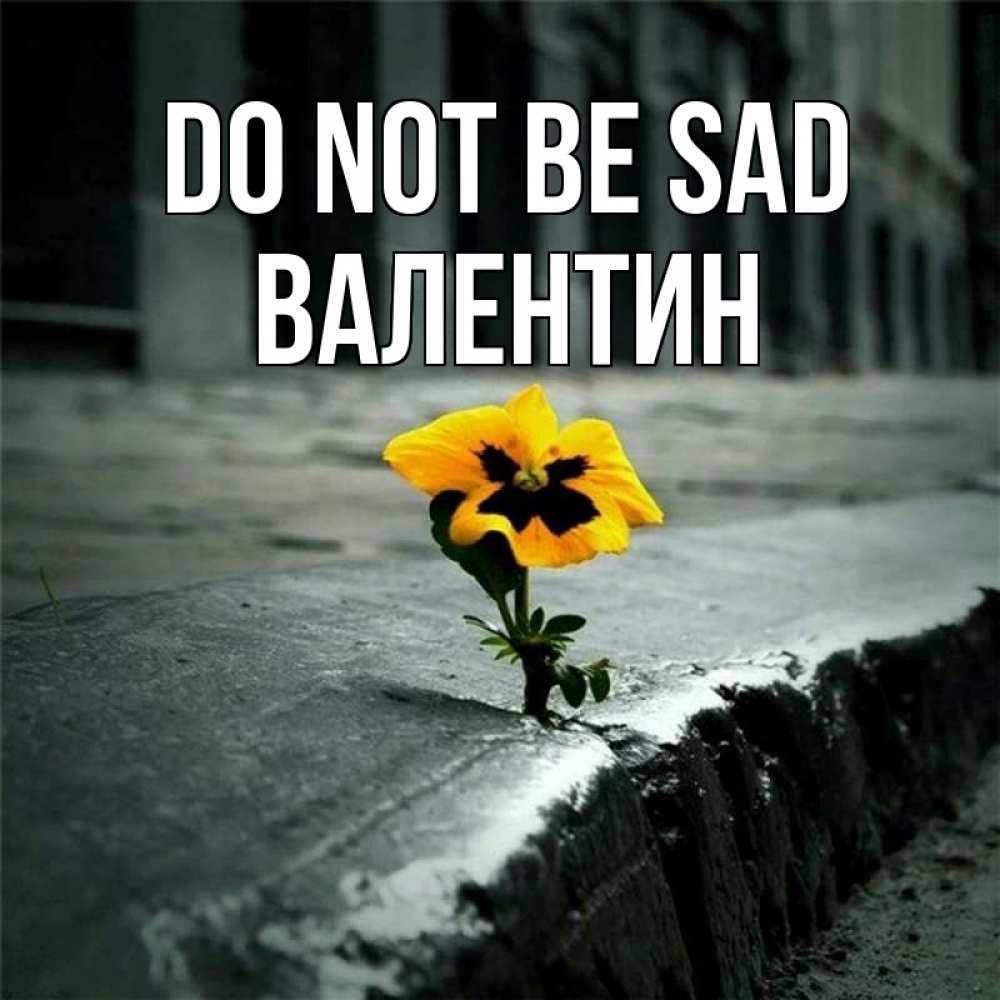 Greetings card с именем, Валентин Do not be sad не сдавайся Greetings with text for free download 