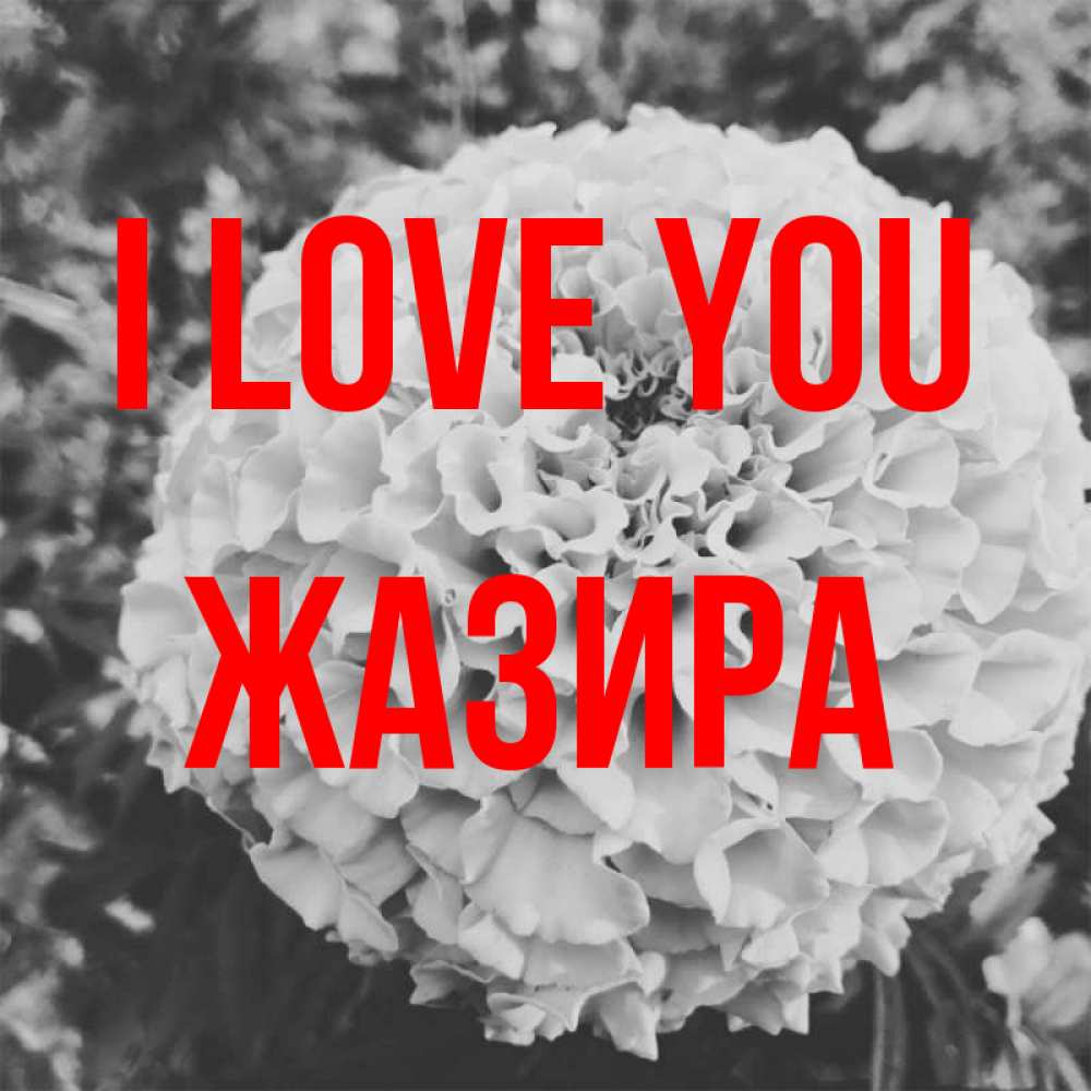 Greetings card с именем, ЖАЗИРА I love you подпись Greetings with text for free download 