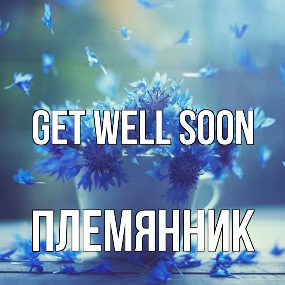 Greetings card с именем, Племянник Get well soon кружка с зельем и цветами Greetings with text for free download 
