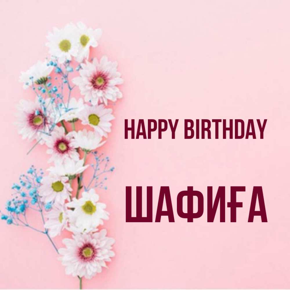 Greetings card с именем, ШАФИҒА Happy Birthday Родная моя с днем рождения тебя картинка с цветами белыми и голубыми Greetings with text for free download 