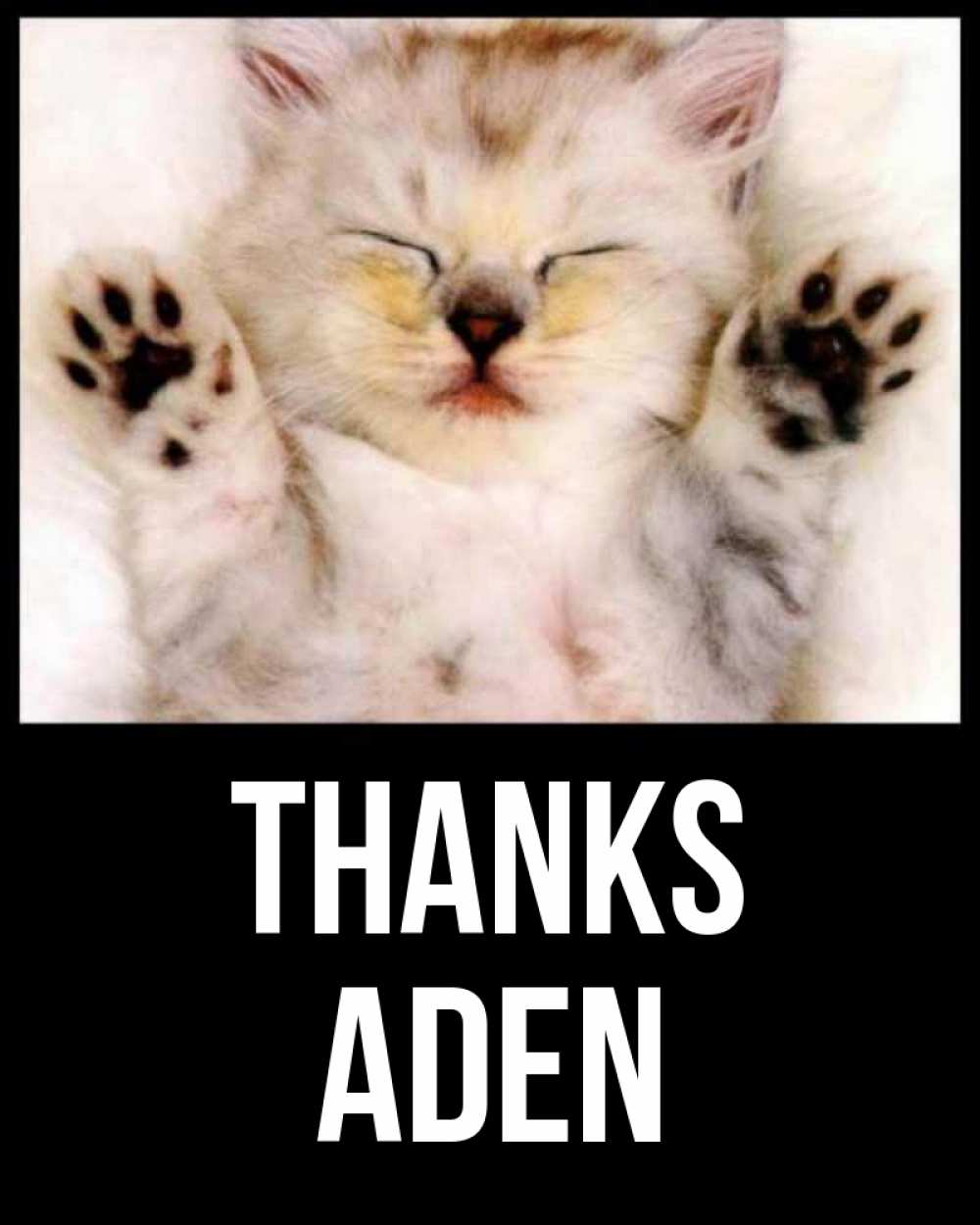 Greetings card с именем, Aden Thanks маленький котенок Greetings with text for free download 