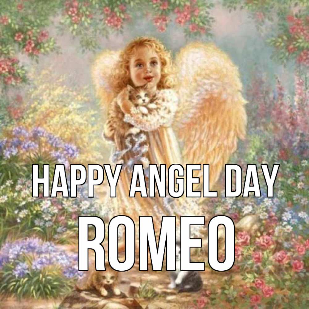 Greetings card с именем, Romeo happy angel day держит котенка Greetings with text for free download 