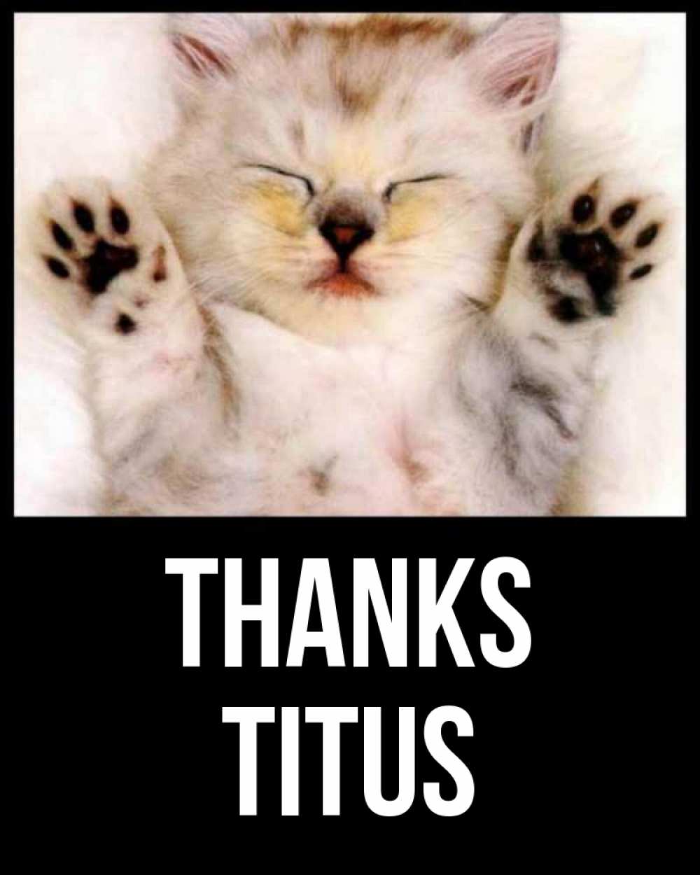 Greetings card с именем, Titus Thanks маленький котенок Greetings with text for free download 