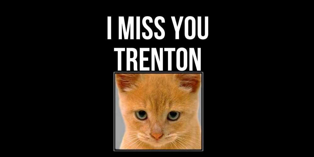 Greetings card с именем, Trenton I miss you открытки рыжий котенок скучает по тебе Greetings with text for free download 