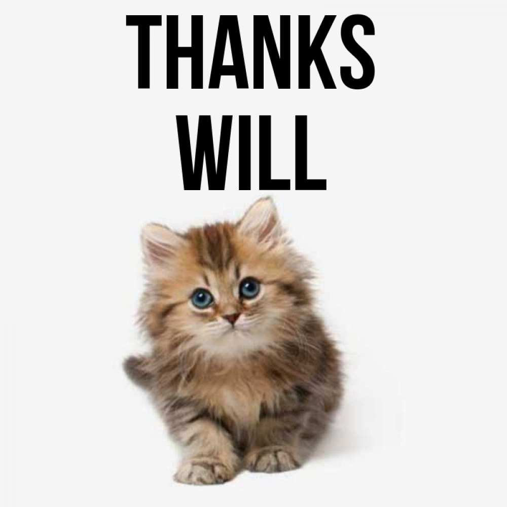 Greetings card с именем, Will Thanks пушистый котик Greetings with text for free download 