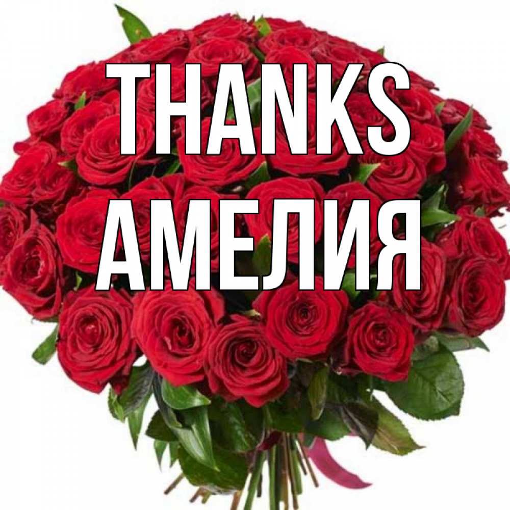 Greetings card с именем, Амелия Thanks букет красных роз Greetings with text for free download 