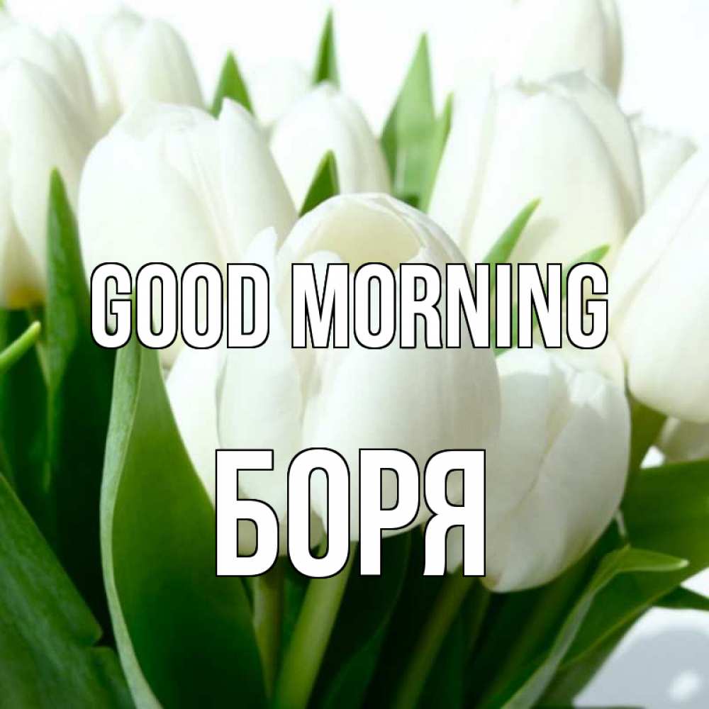 Greetings card с именем, Боря Good morning открытки на каждый день по именам Greetings with text for free download 