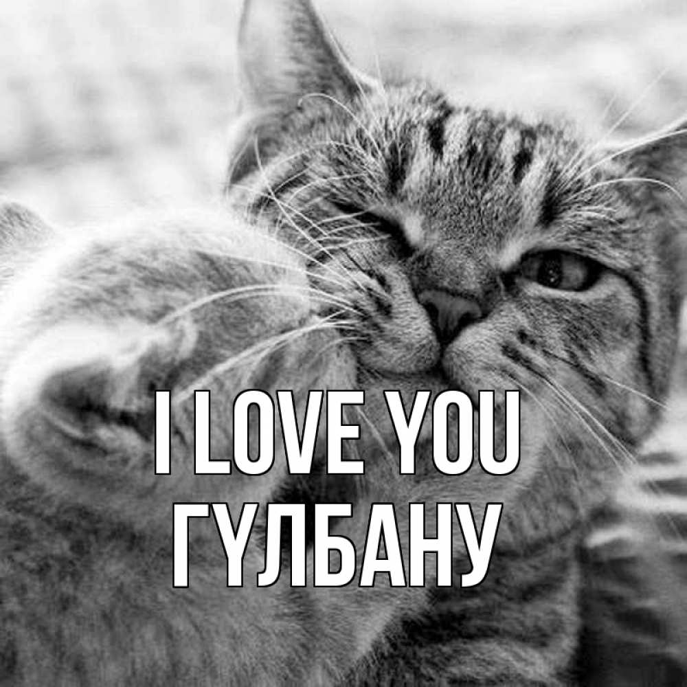 Greetings card с именем, ГҮЛБАНУ I love you коты Greetings with text for free download 