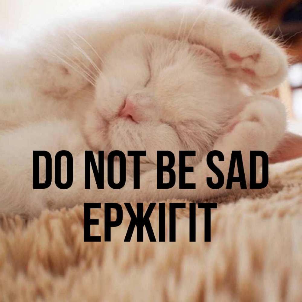 Greetings card с именем, Ержігіт Do not be sad Котенок спит Greetings with text for free download 