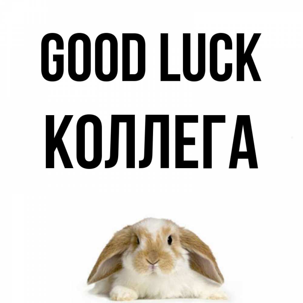 Greetings card с именем, Коллега Good luck открытки с произвольным текстом который можно вставить в открытку и создать ее самостоятельно бесплатно онлайн Greetings with text for free download 