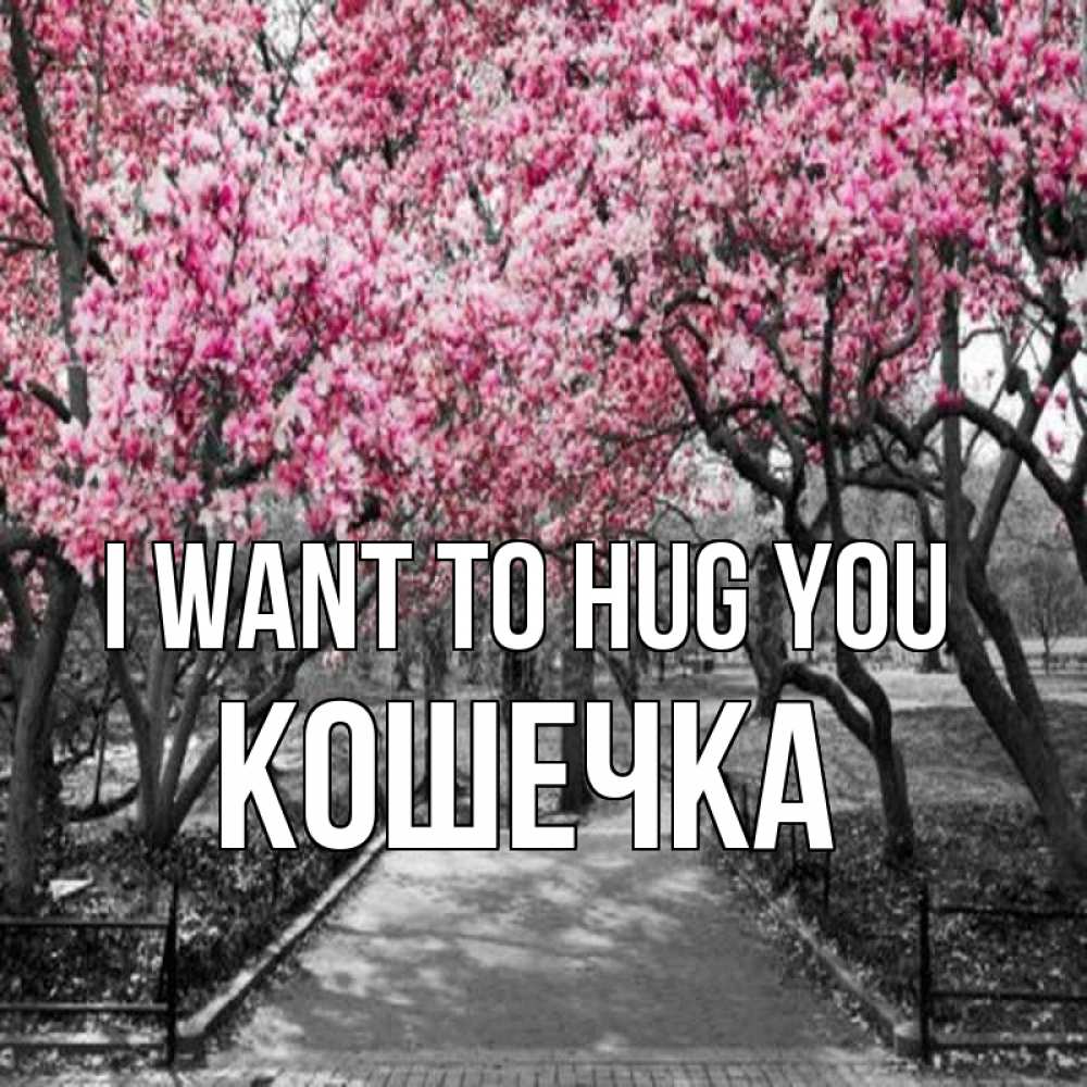 Greetings card с именем, Кошечка I want to hug you обработанное фото Greetings with text for free download 