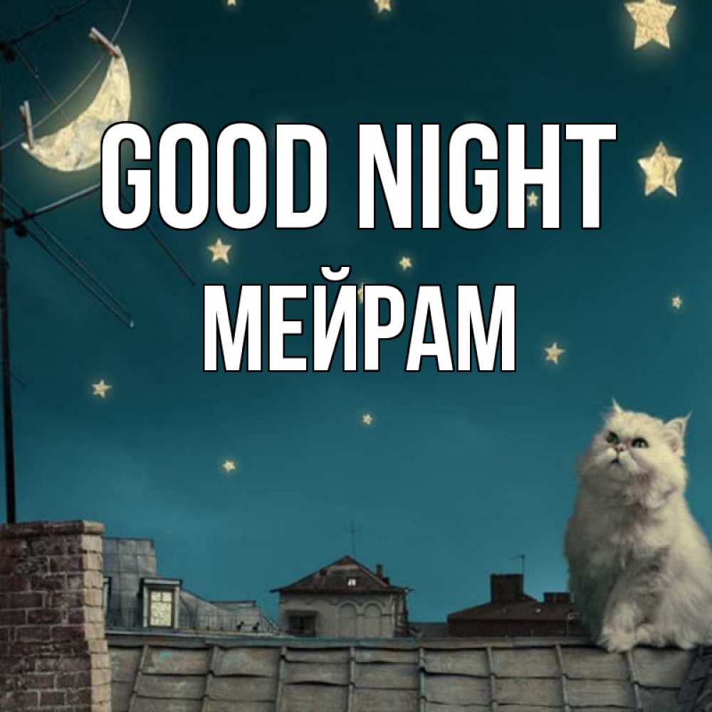Greetings card с именем, МЕЙРАМ Good night белый кот сидит на крыше Greetings with text for free download 