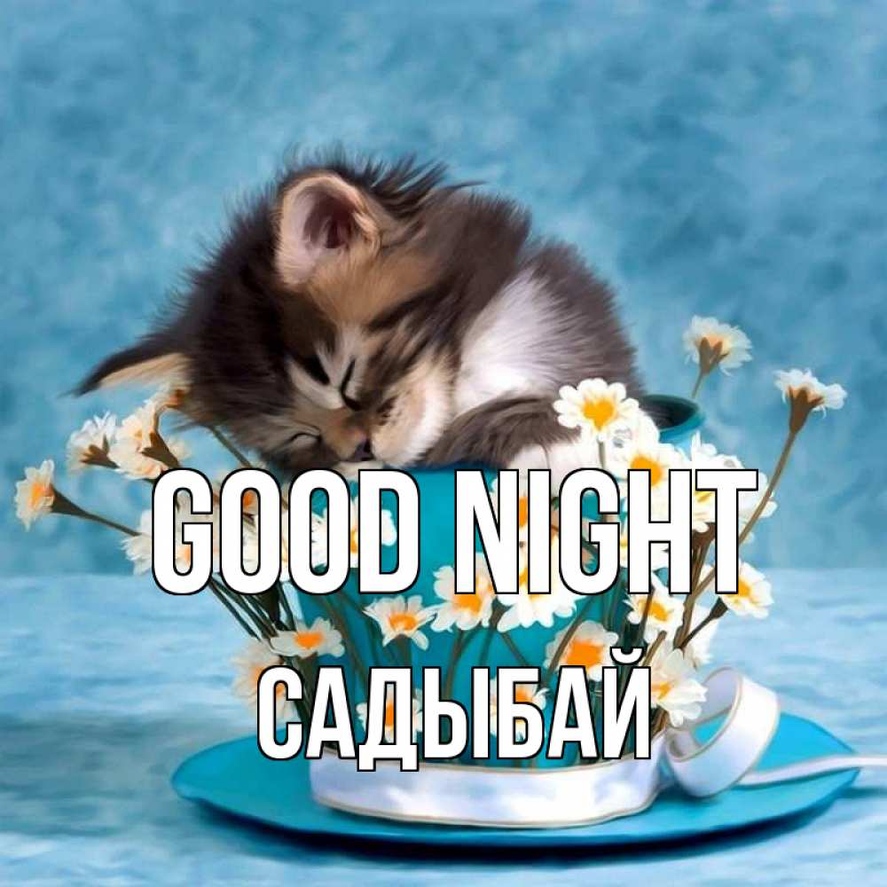 Greetings card с именем, САДЫБАЙ Good night котенок спит в кружке с блюдцем Greetings with text for free download 