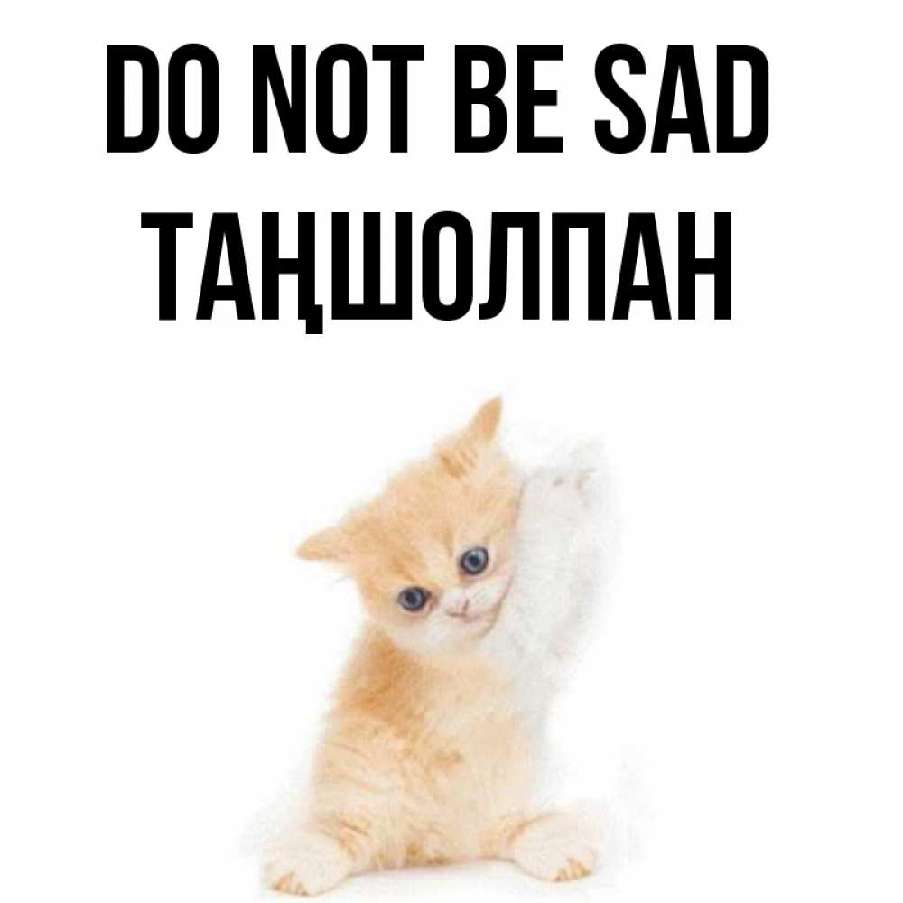 Greetings card с именем, ТАҢШОЛПАН Do not be sad просящий кот Greetings with text for free download 